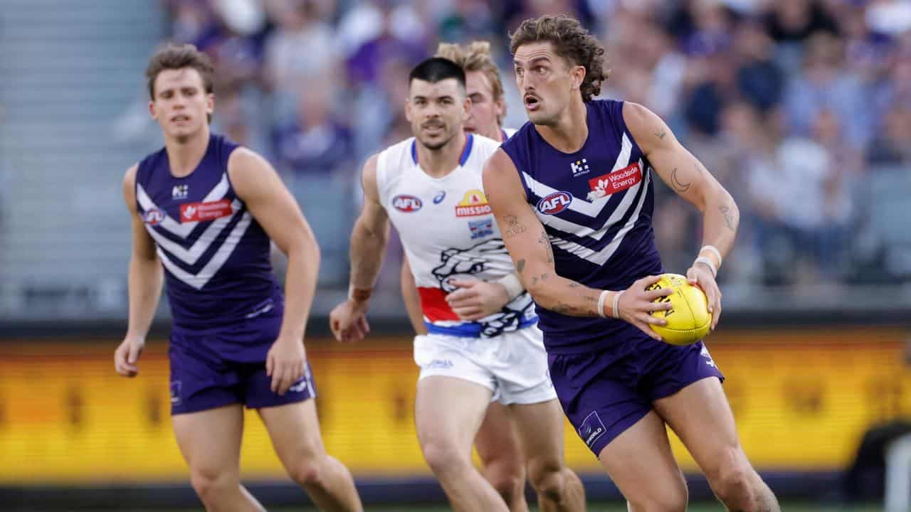 Freo trio injured, but brave Dockers hold off Bulldogs
