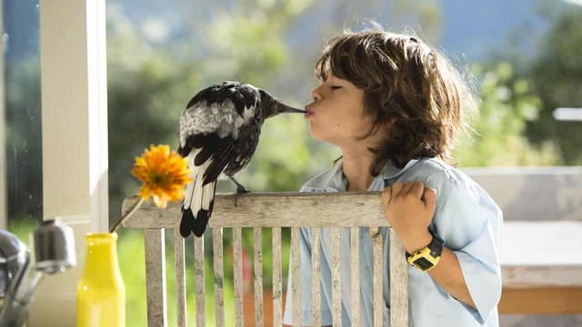 Aussies embrace once 'nerdy' hobby as top bird revealed