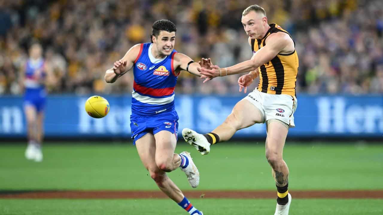 Worpel back for Hawks as guns return in Gather Round