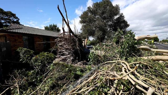 'Uninhabitable, mouldy' home prompts insurance lawsuit