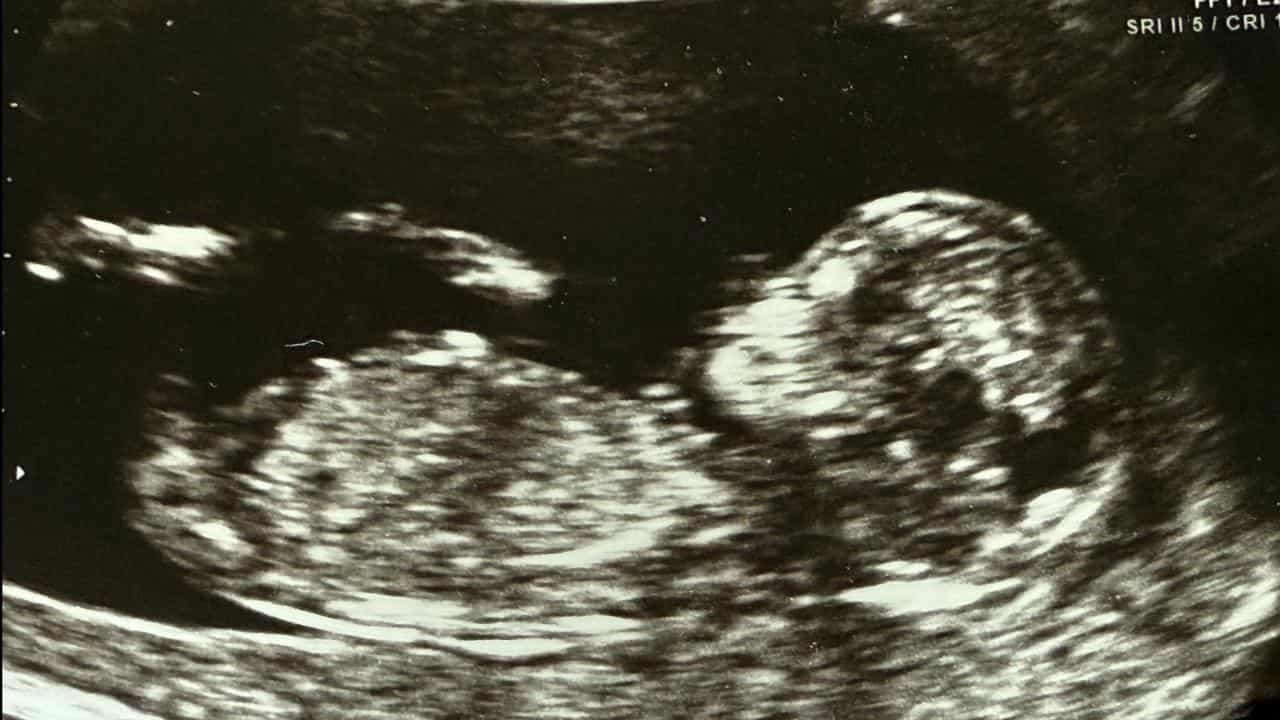 Spotlight on IVF regulation over embryo mix-up