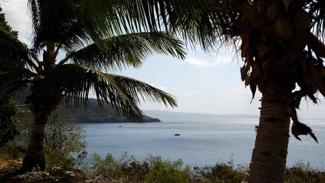 Deal to sink harmful fishing subsidies edges closer