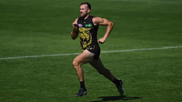 Tigers star may return three days before court sentence