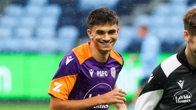 Adelaide's ALM freefall continues with Glory upset