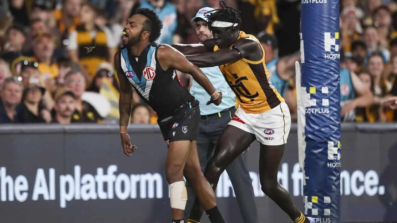 Port forward fuels Hawks rivalry with social media post
