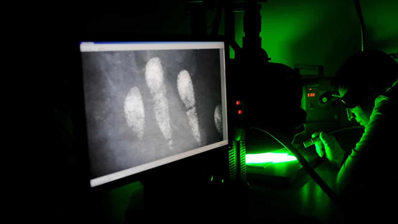 Accused cocaine kingpin ordered to surrender handprints