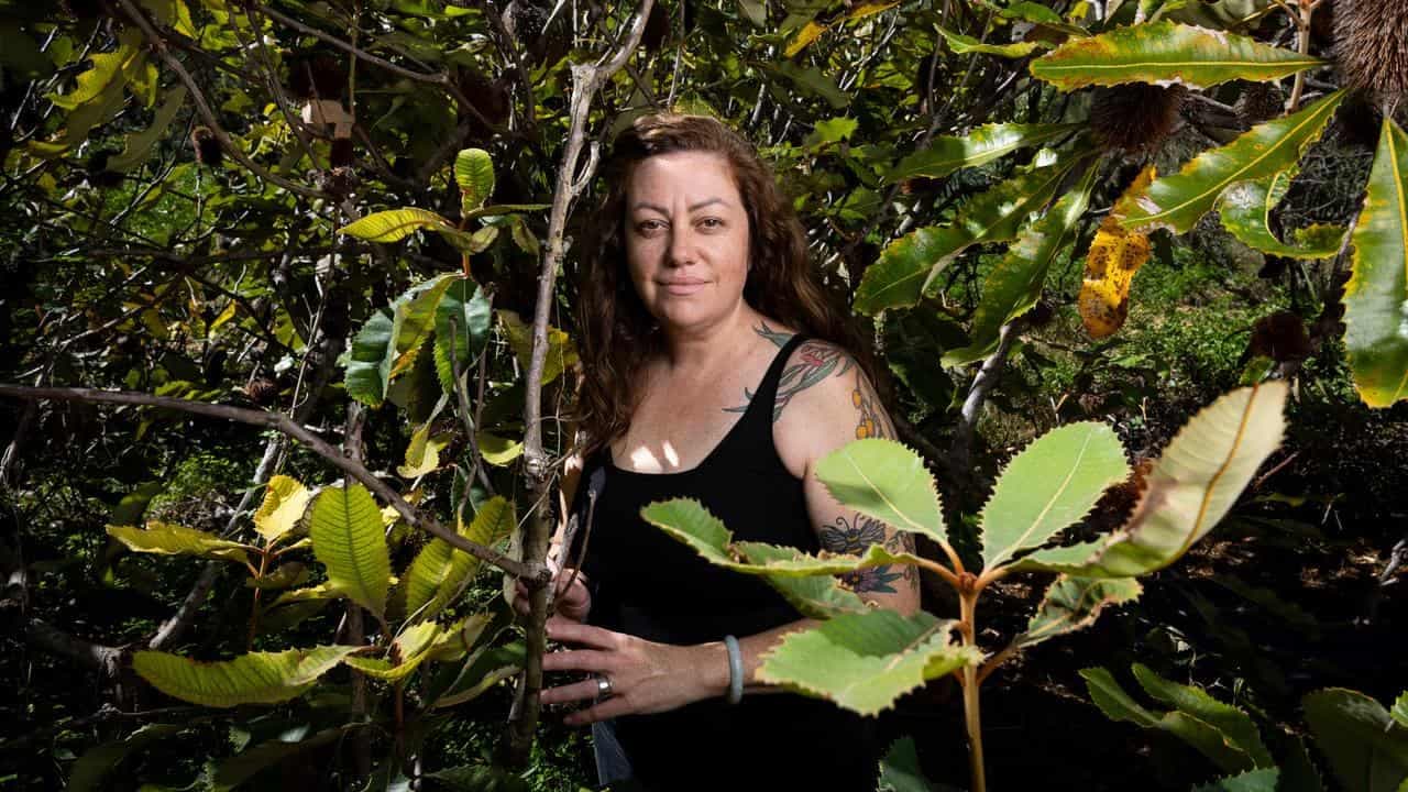 Dose of cultural medicine to 'decolonise healthcare'