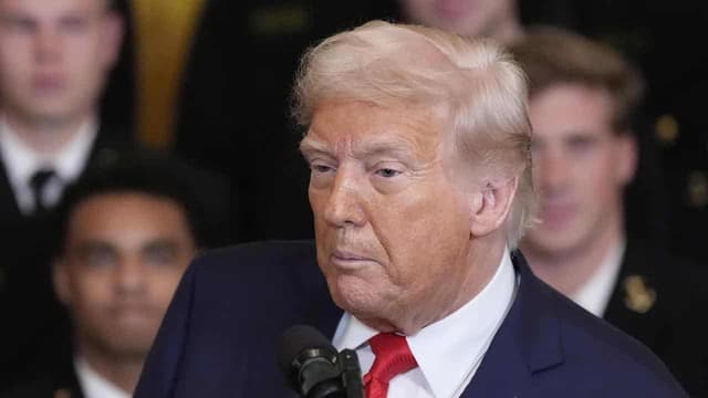 Trump plays critical minerals card in tariff trade war