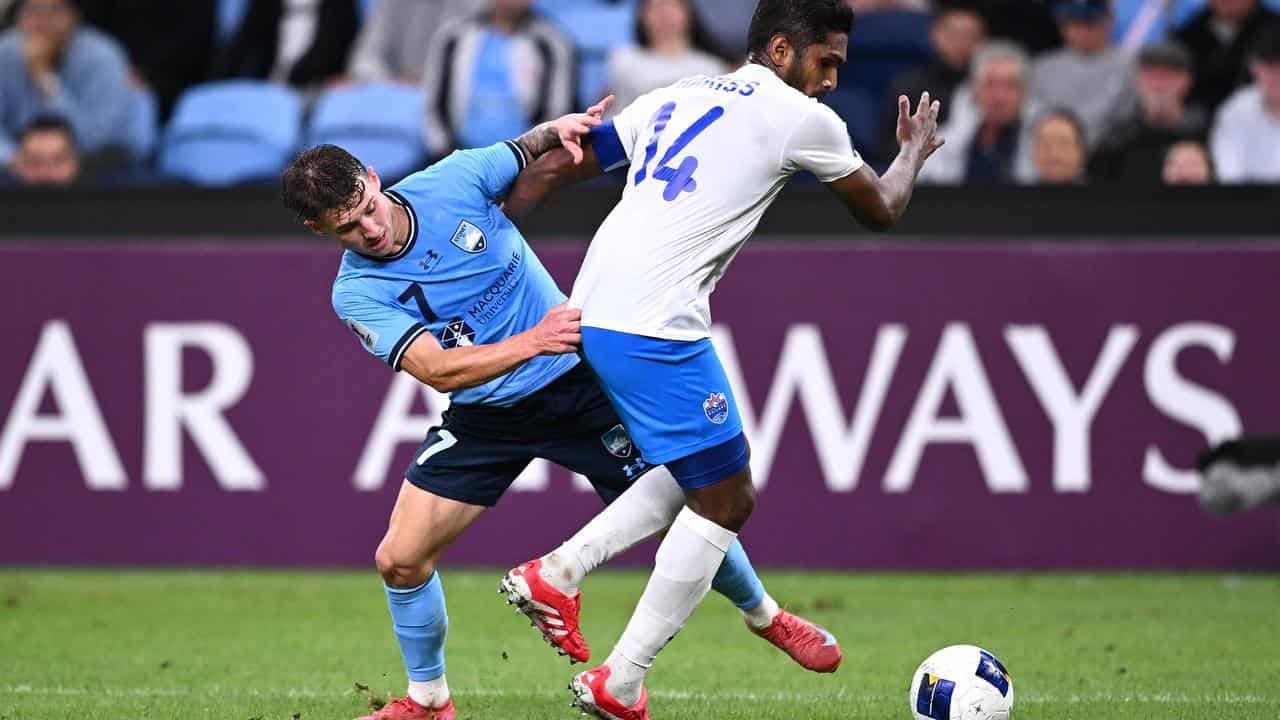 Sydney await answer on red-hot youngster Segecic