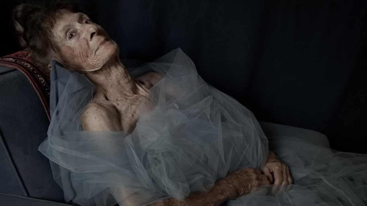 Photography prize reveals rich diversity of bush life