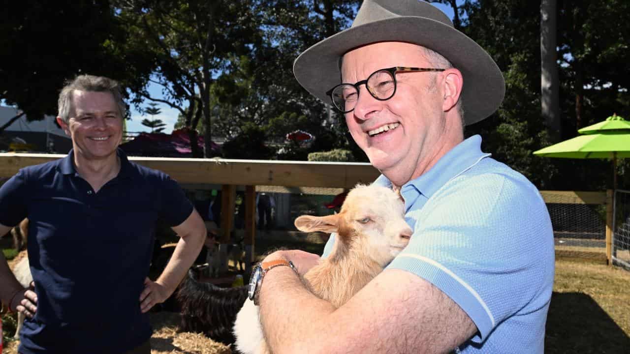 Dutton, PM butt heads at Easter show as voting nears