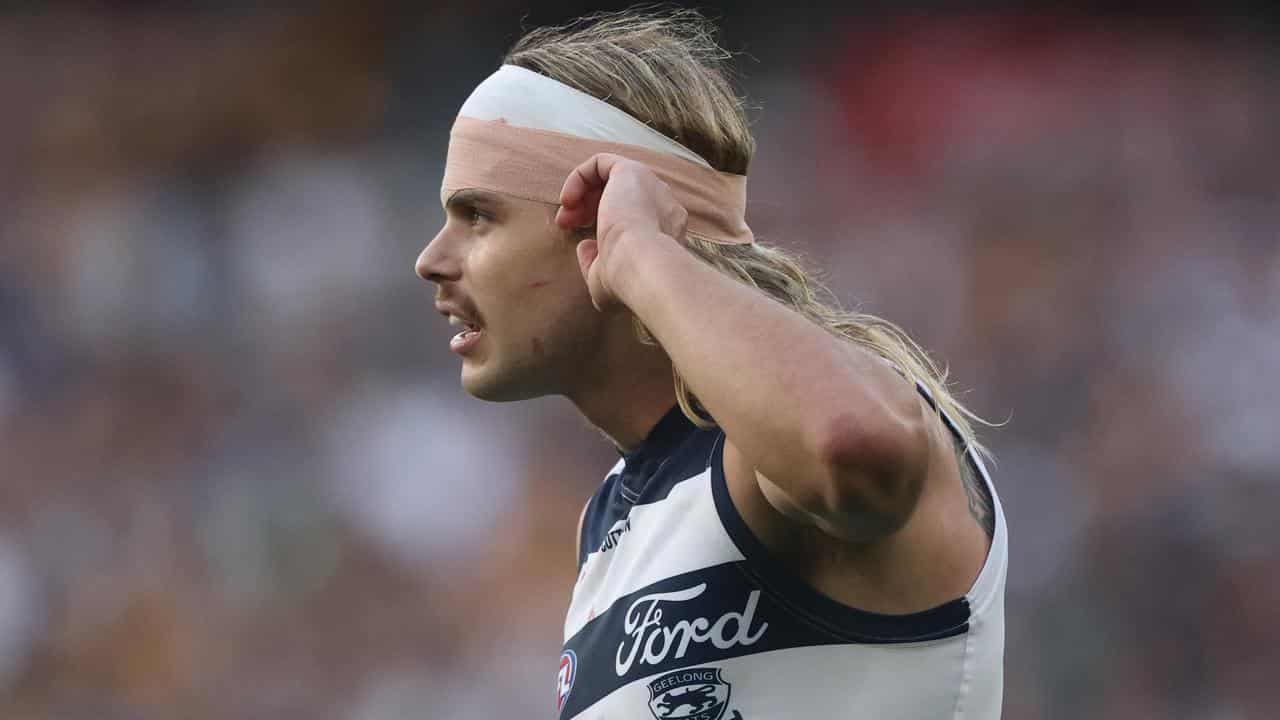 Cats back Smith after star ruffles Hawks' feathers