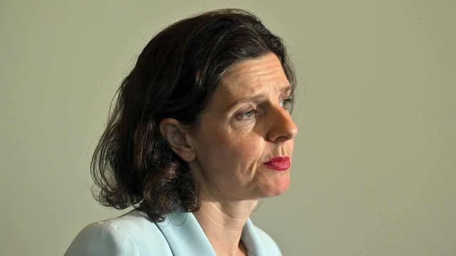 Smear campaign: illegal pamphlets target independent MP