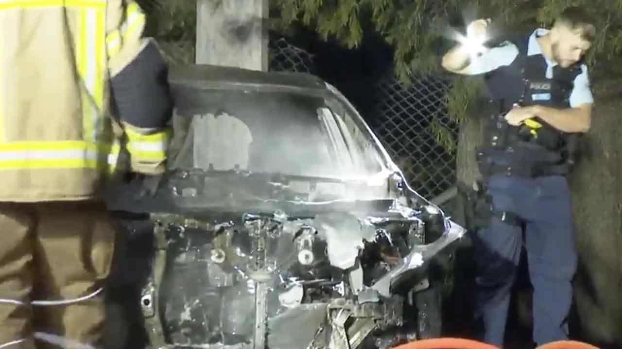 Innocent mum's brutal murder linked to organised crime