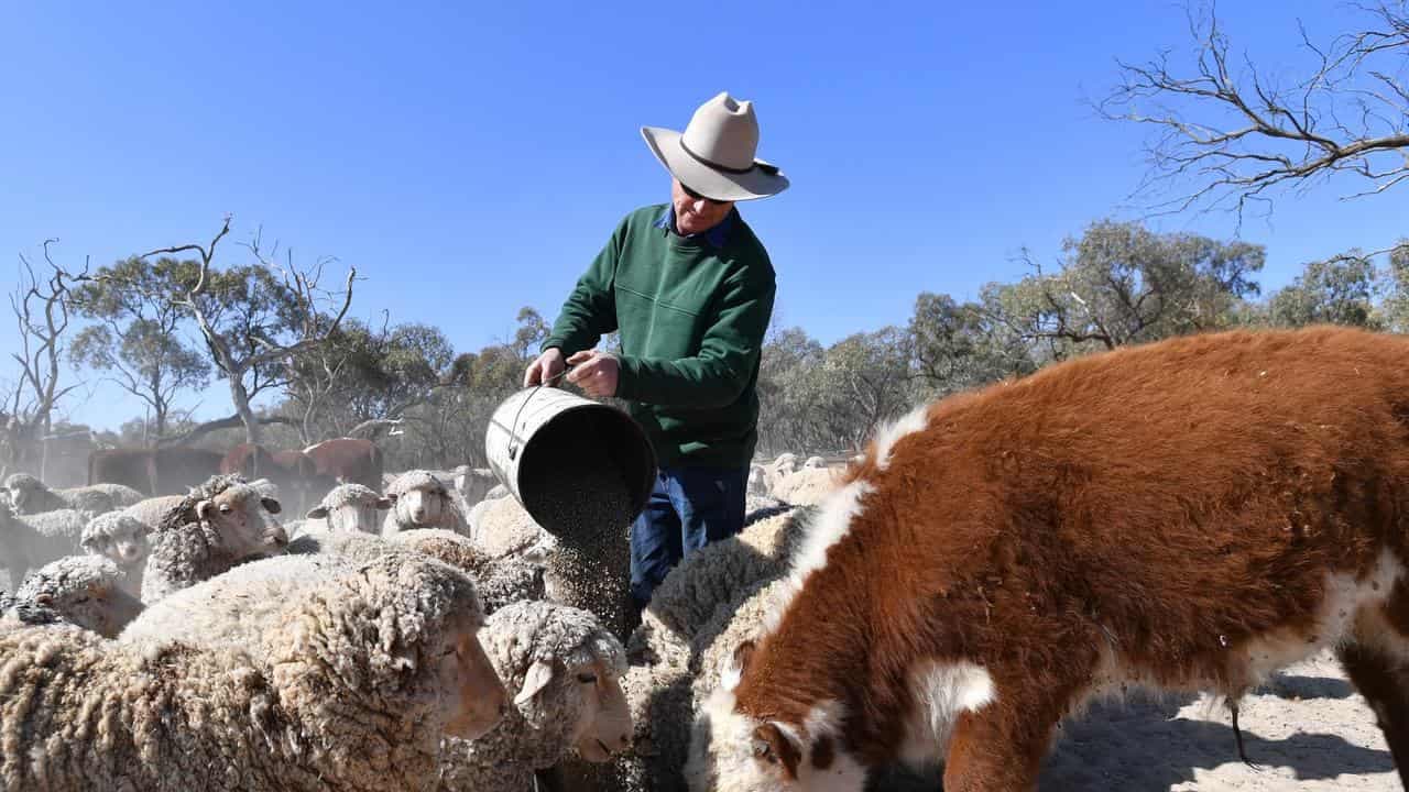 Rural voters warned political loyalty is never rewarded