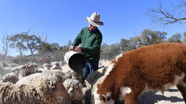 Rural voters warned political loyalty is never rewarded