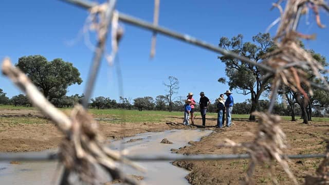 Bush voters looking further afield for local action