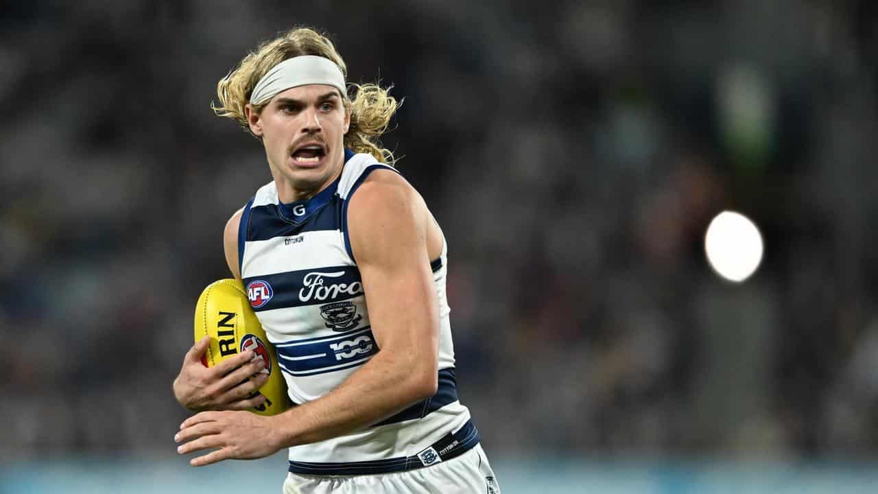 Cats back 'energetic guy' Smith as Carlton test looms