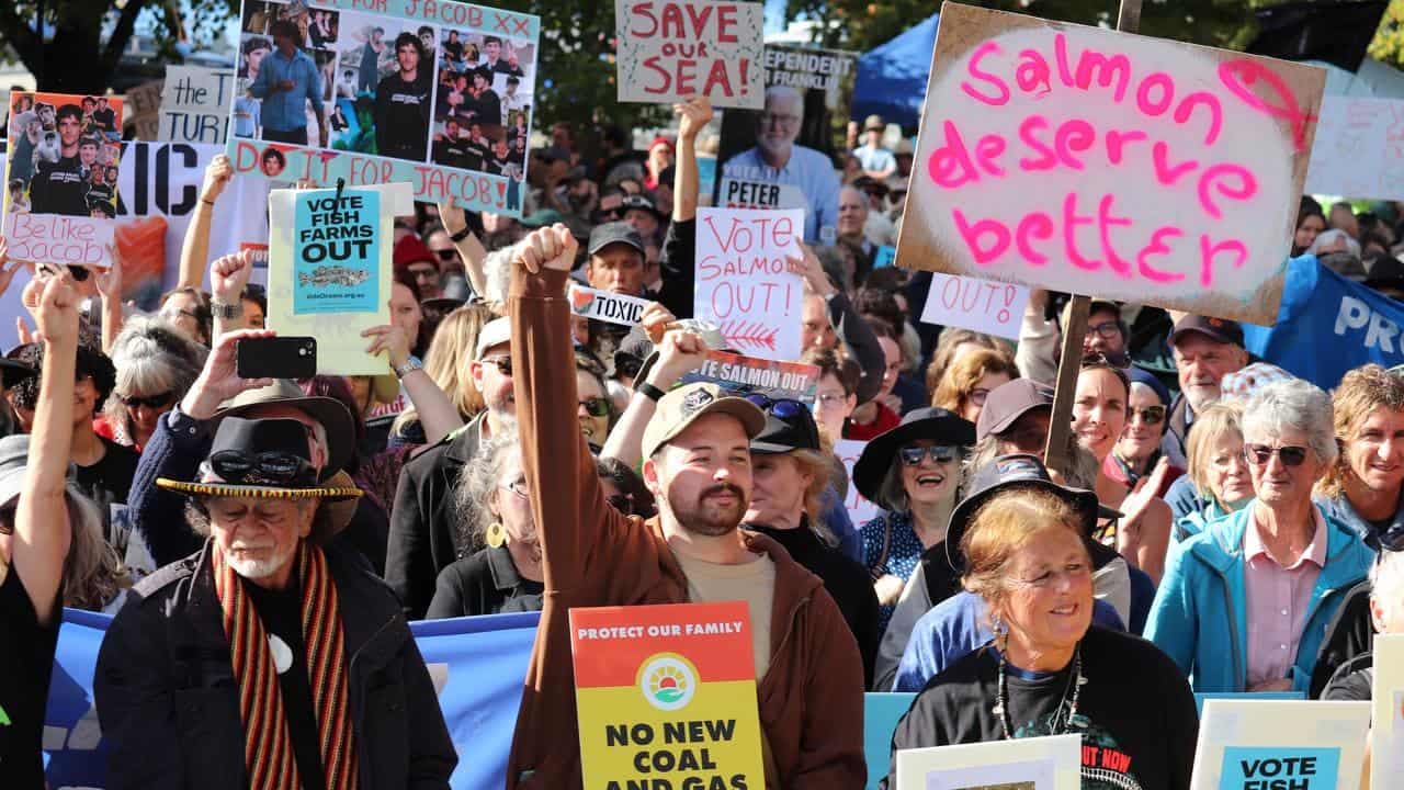 Record anti-salmon rally calls for major party sinking