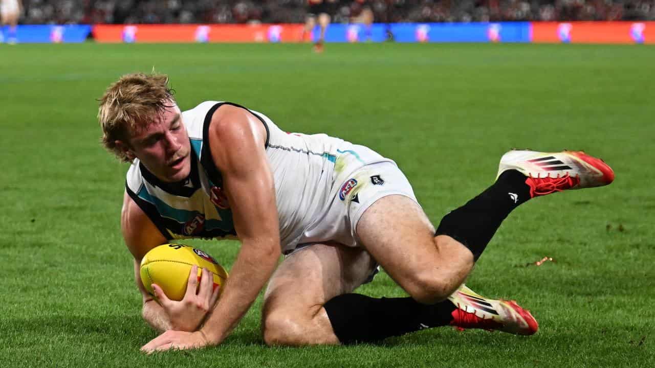 Port defend Horne-Francis after Kangaroos tangle