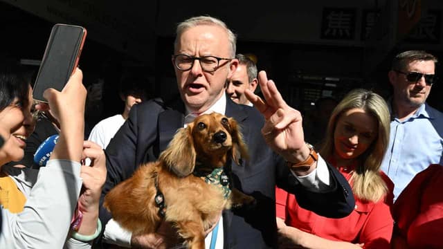 Pooches and pollsters point to popular prime minister