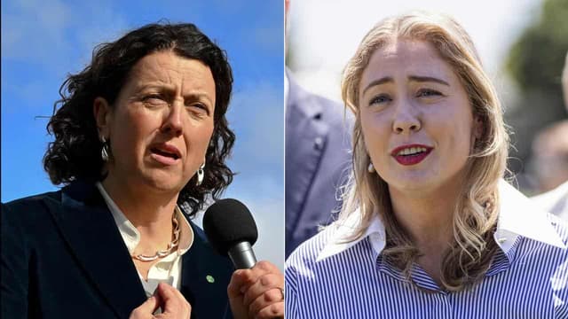 Kooyong 'antics' turn heads but might not change minds