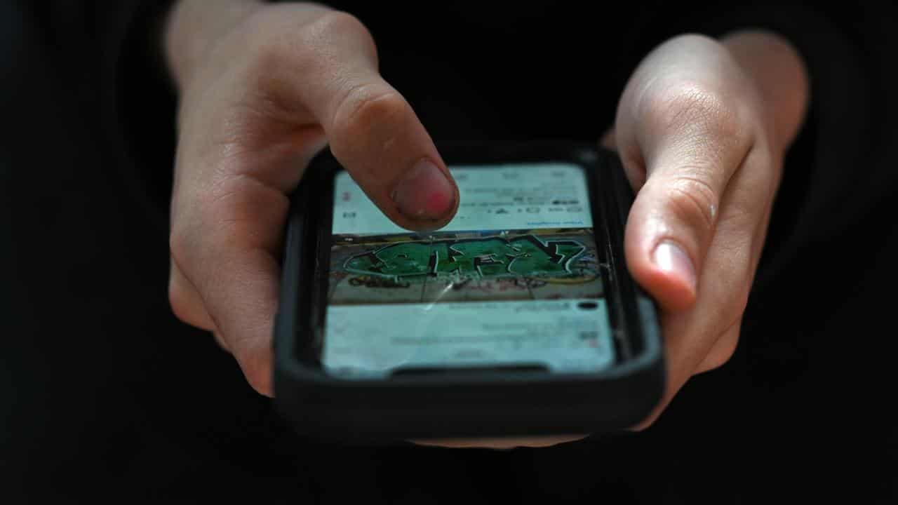 Disinformation bots targeting Dutton, boosting Albanese