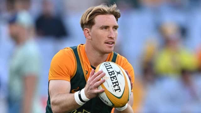 Larrikin Les a coaching hit with Wallabies: McDermott