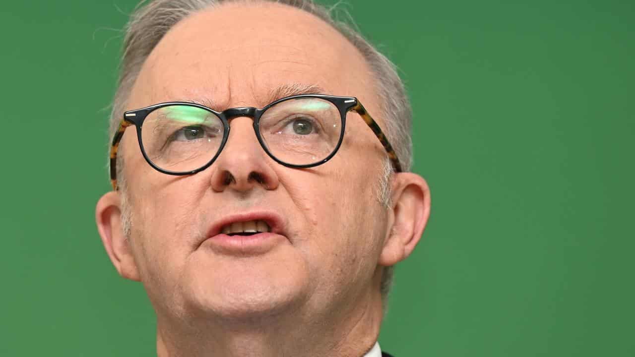 Albanese's $30b school cuts claim misleads
