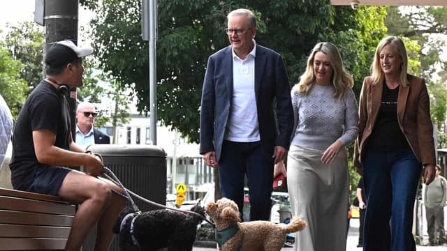 Albanese takes victory lap after Labor landslide