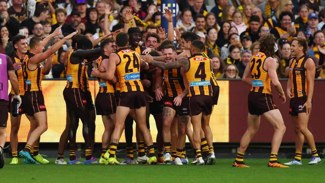 Clarko back as Hawks mark centenary with Tiger mauling