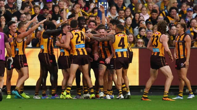 Clarko back as Hawks mark centenary with Tiger mauling