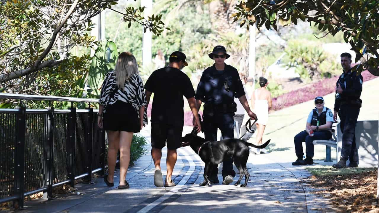 Dog's sniff prompted unlawful festival strip search