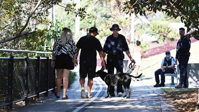 Dog's sniff prompted unlawful festival strip search