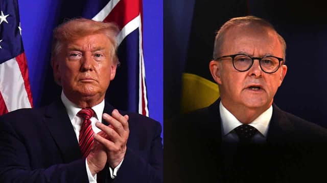 Albanese, Trump in 'very warm' election triumph chat