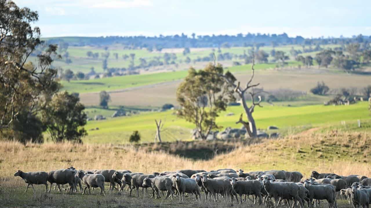 Australian farmland values just keep on growing