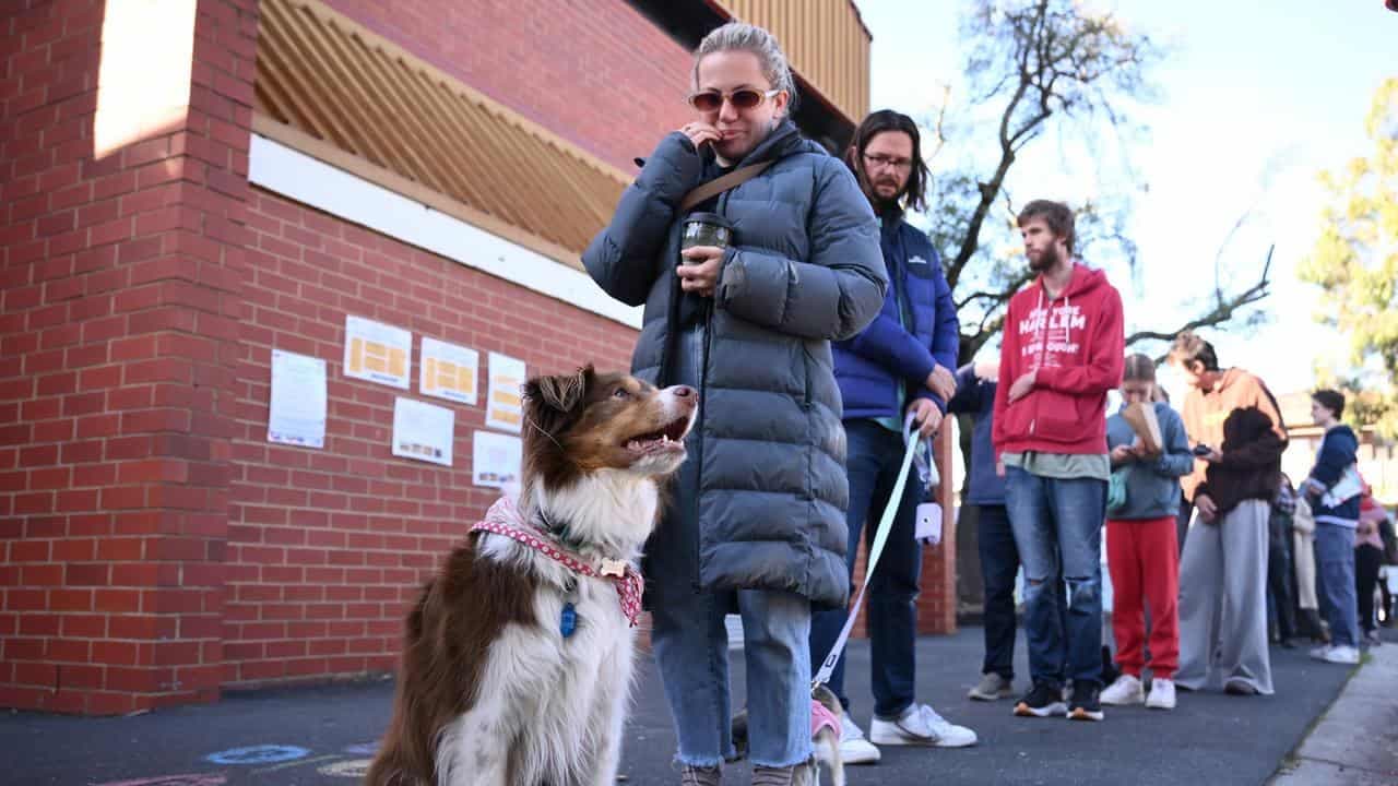 Claims of low voter turnout in federal election jump the gun