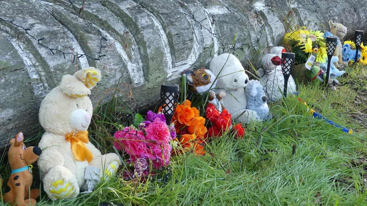 Rural town to honour slain boys who 'left us too soon'