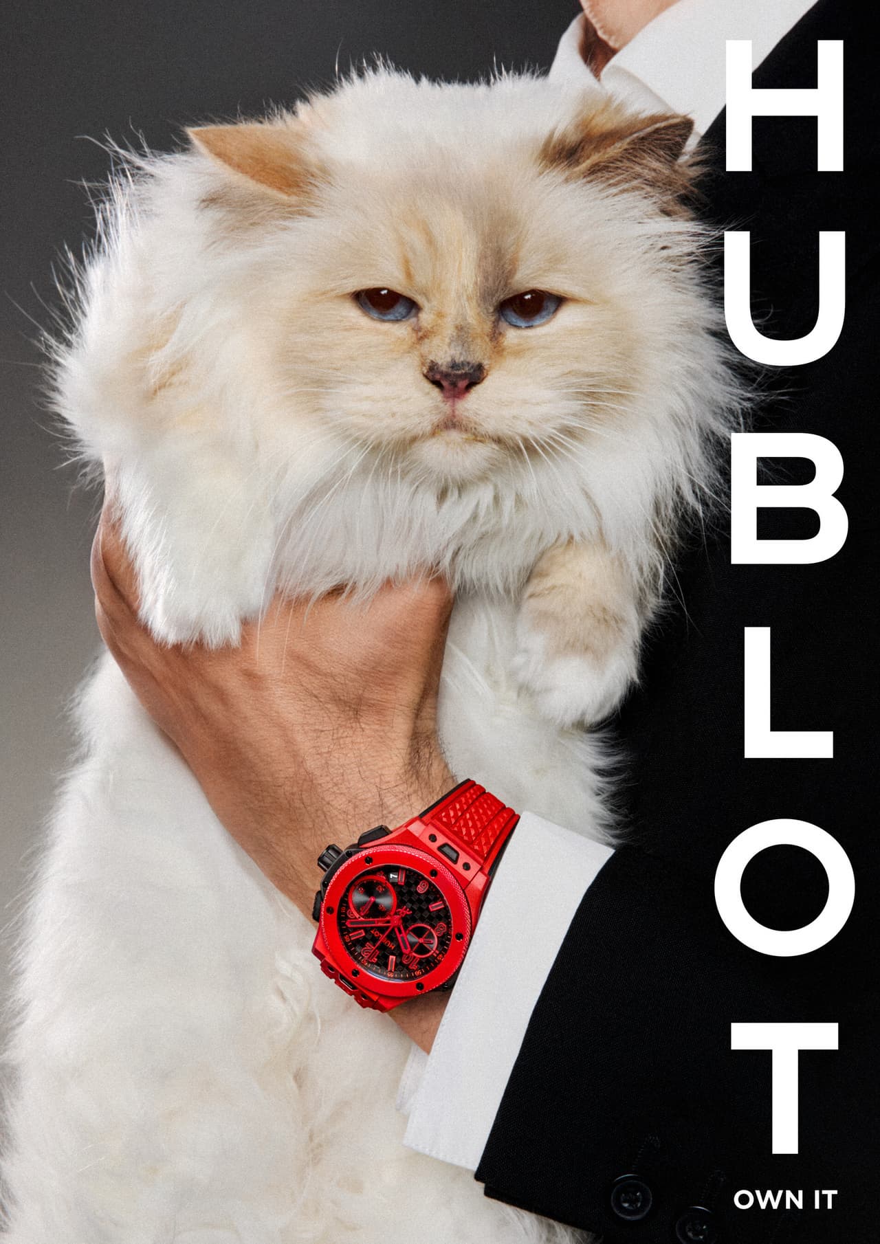 THE WORLD'S MOST FAMOUS AND PAMPERED FELINE CHOUPETTE STARS IN HUBLOT'S BIG BANG 20TH ANNIVERSARY CAMPAIGN