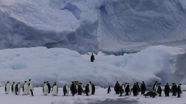 Expedition braves Antarctic for data on melting glacier