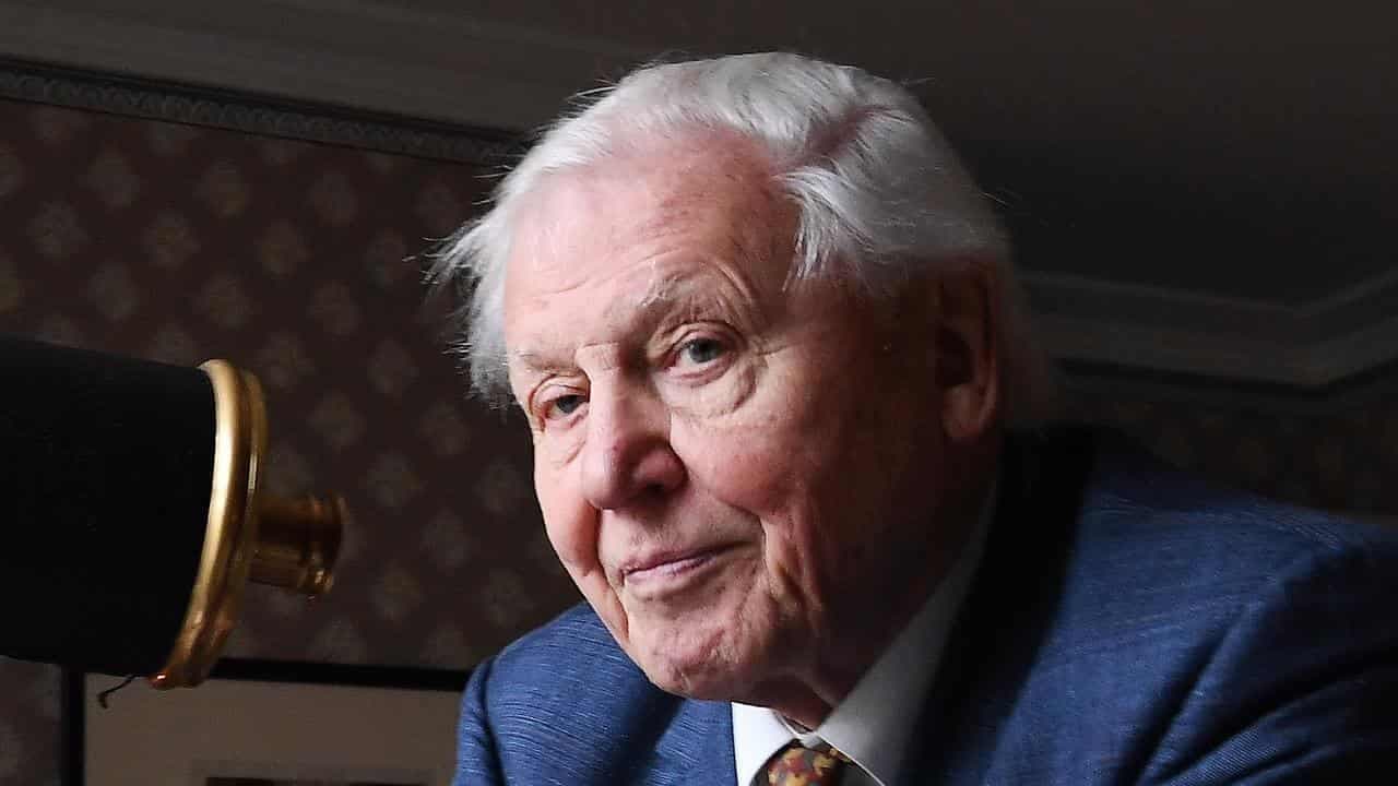 William praises David Attenborough on 99th birthday