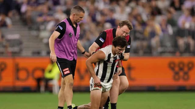 Umpires didn't notice concussed Magpie Schultz: AFL