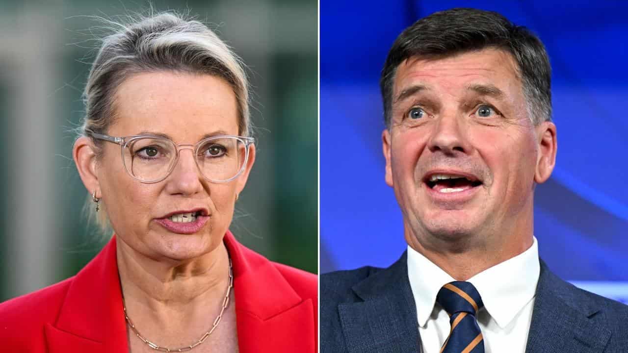 Liberals push leadership cases after election thrashing