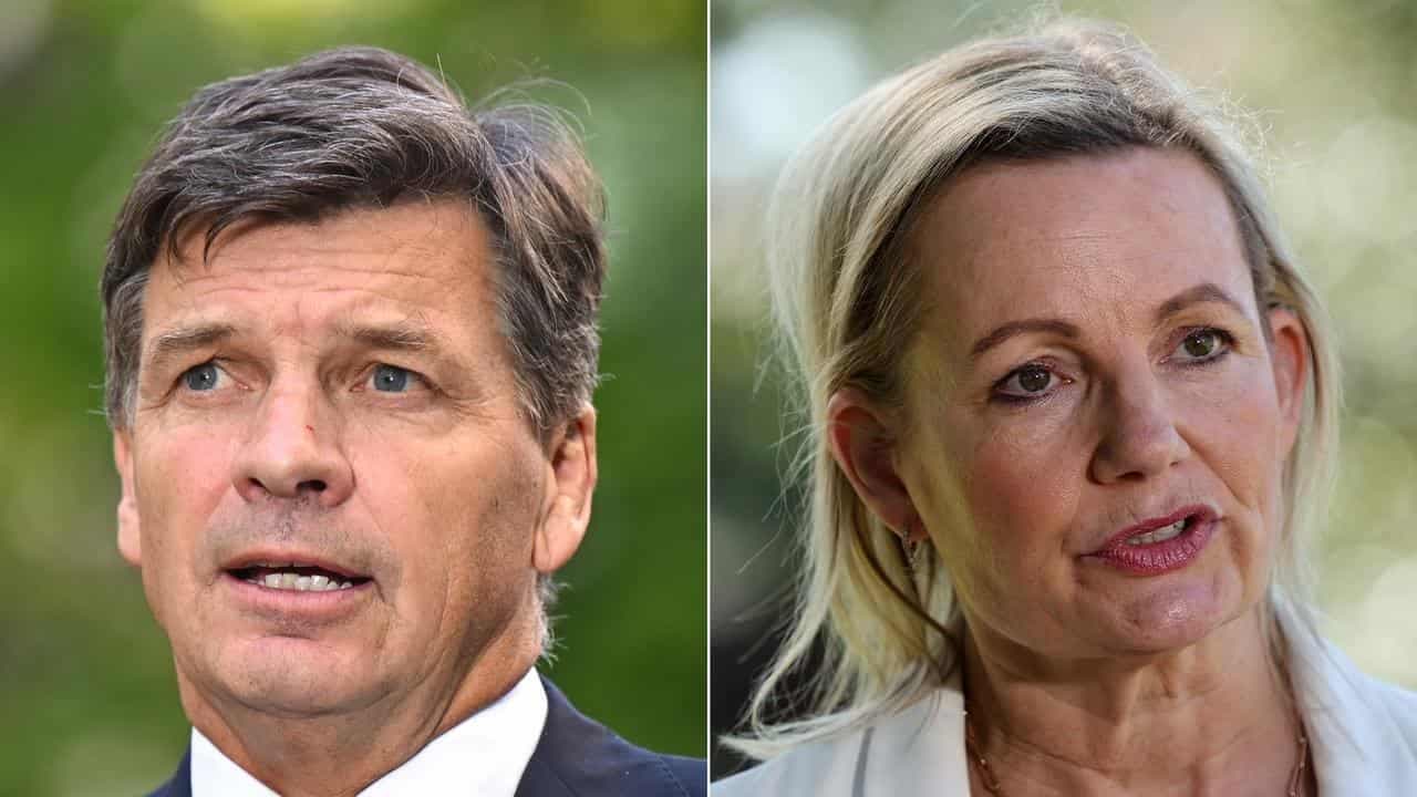 Liberals warned to ditch culture wars ahead of vote