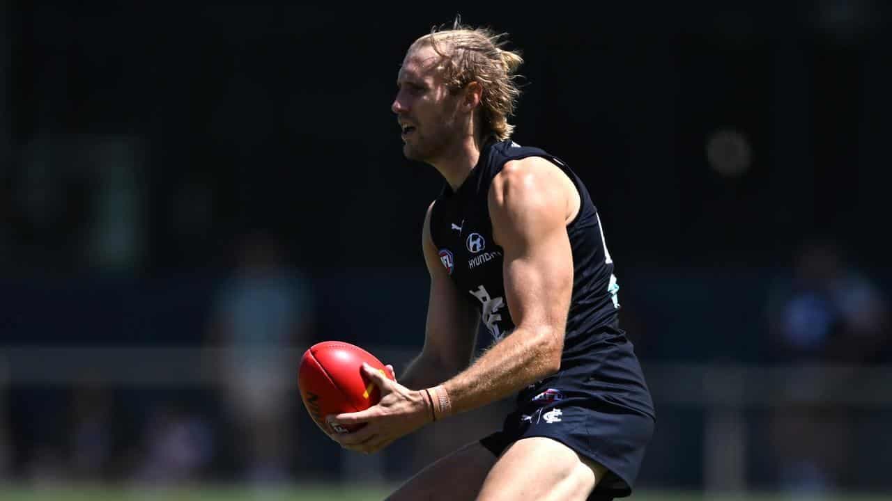 Haynes slots seamlessly into new-look Blues AFL defence