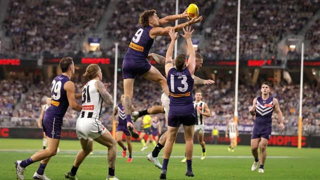 Treacy backs Dockers' tall set-up as Darcy presses case