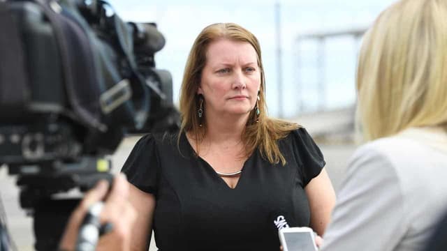 Greens MP quits over party 'scheming and sabotage'