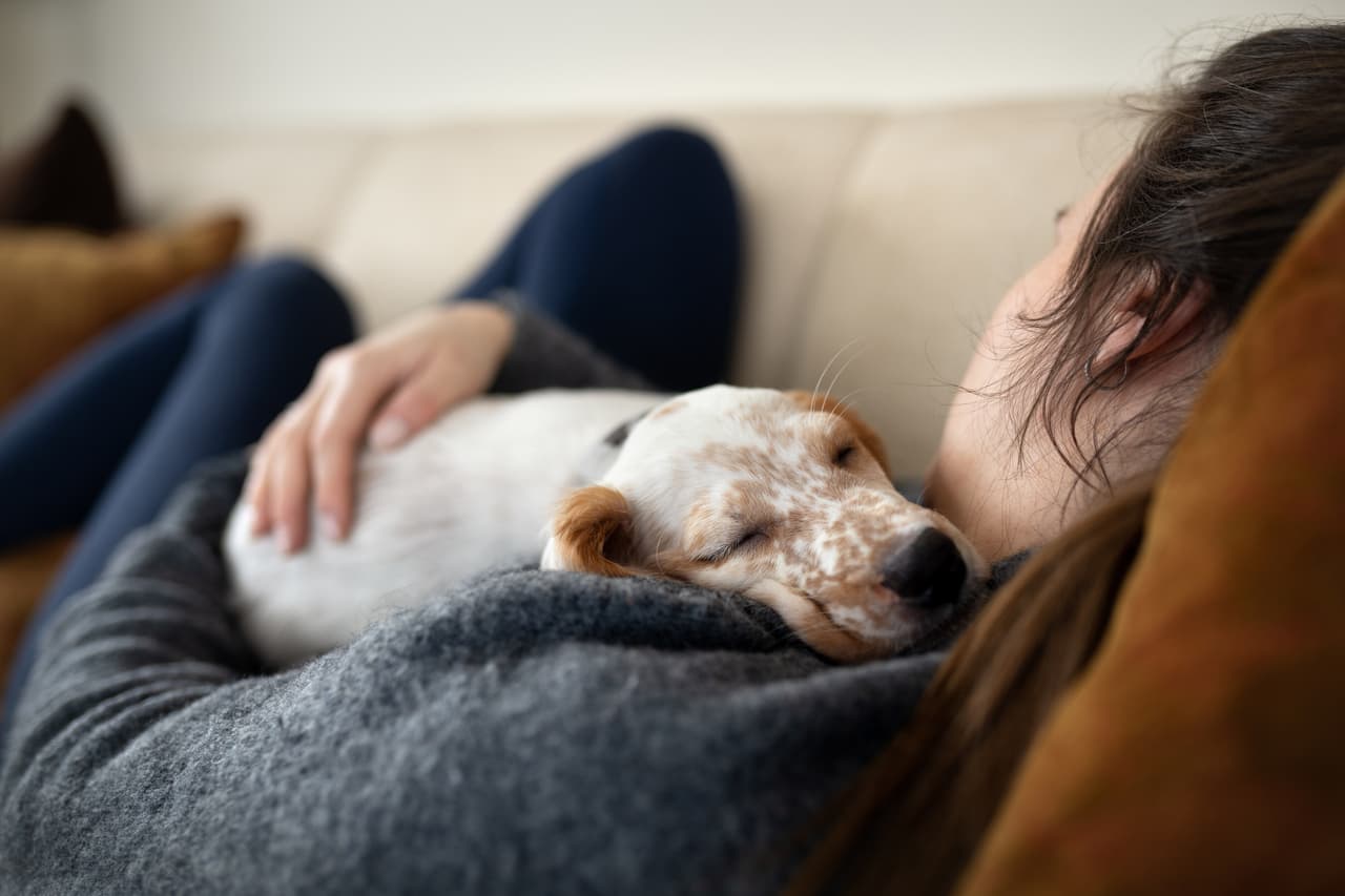 Six in 10 pet owners reveal they prefer to spend time with their pets when feeling stressed, according to new survey