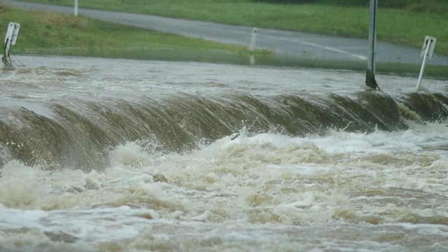 Driver avoids jail after mates drowned in flooded creek