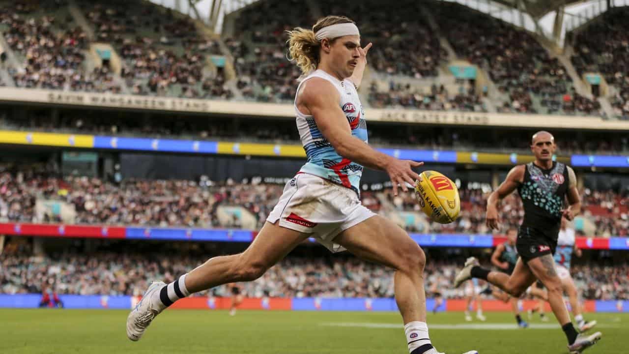 Cameron, Smith star as Cats down Port amid injury chaos